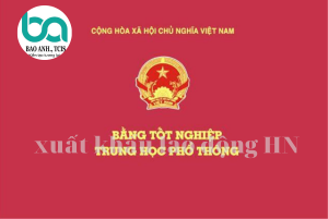 xuất khẩu lao dộng HN 43