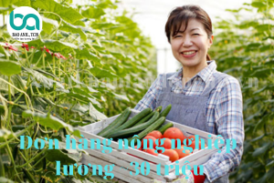 xuất khẩu lao dộng HN 96