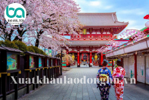 Copy of xuat khau lao dong HN 3 3