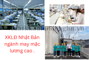 Copy of xuat khau lao dong HN