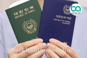 Copy of xuat khau lao dong HN 6