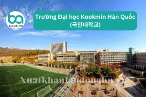 Copy of xuat khau lao dong HN 1