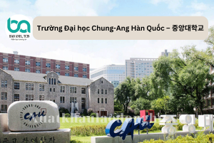 Copy of xuat khau lao dong HN 2