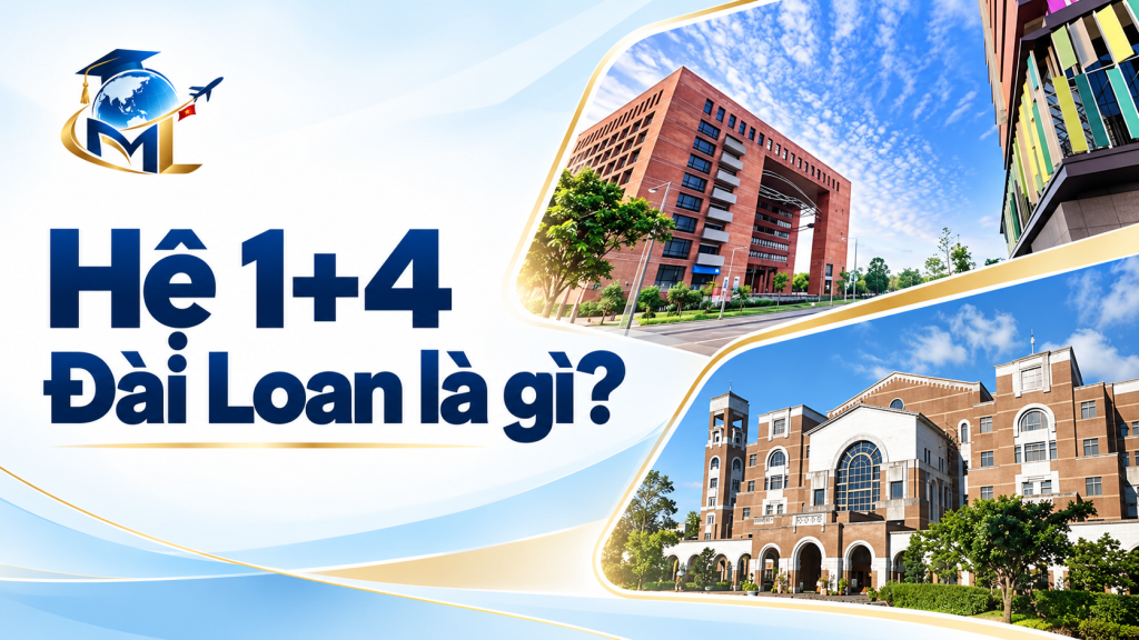 Hệ 1+4 Đài Loan là gì? Lộ trình học và điều kiện lên chuyên ngành 3 Hệ 1+4